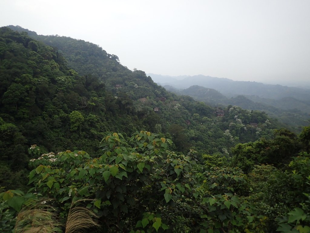 P4191861.JPG - 南庄  細湖頂  晴園山莊