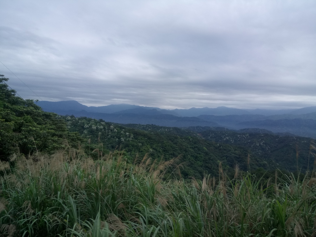 DSC_5893.JPG - 芎林  飛鳳山  (中坑山)