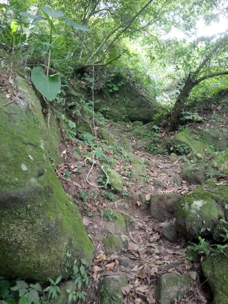 DSC_1000.JPG - 新竹  五指山登山步道