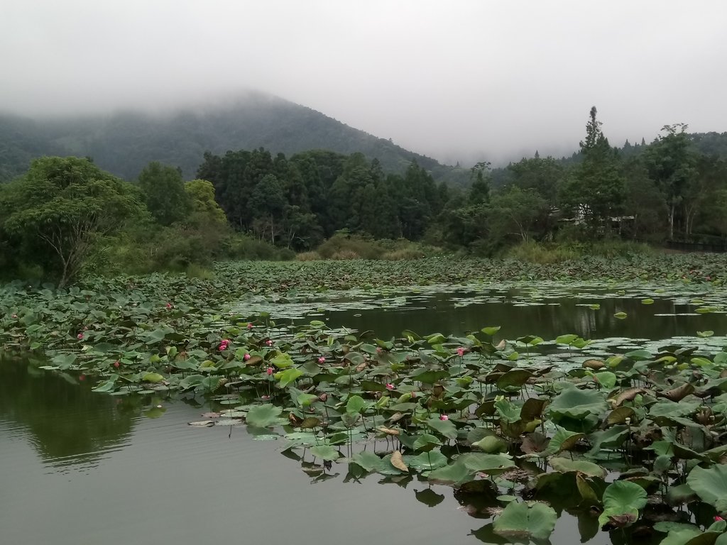 DSC_2960.JPG - 南庄  向天湖之  環湖步道