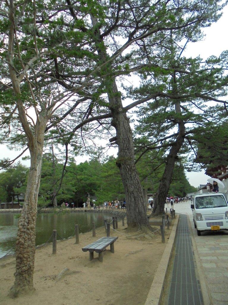 DSC03886.JPG - 奈良  東大寺