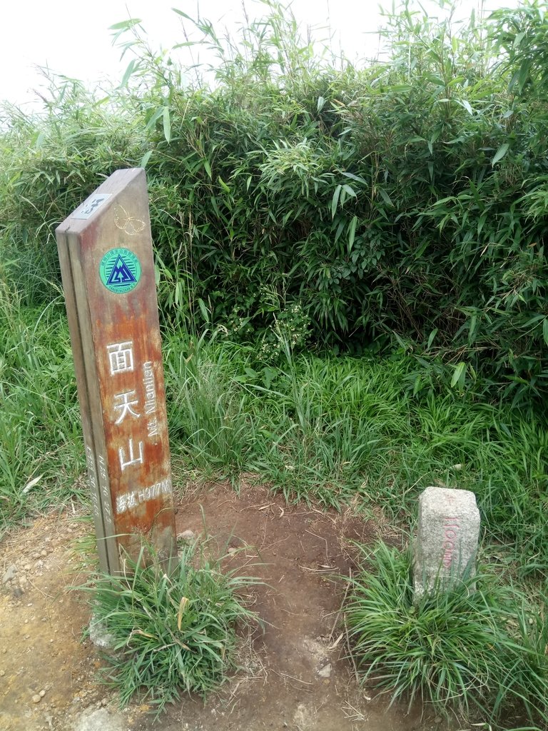 DSC_6922.JPG - 北投  面天山  向天湖步道