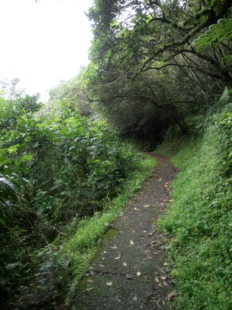 DSC_9314.JPG - 基隆  五坑山  總督嶺步道