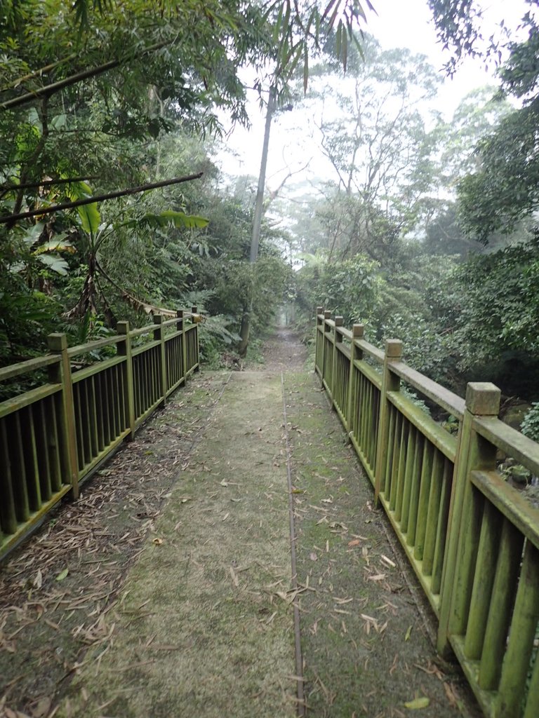 P3039057.JPG - 三峽  白雞山登山步道