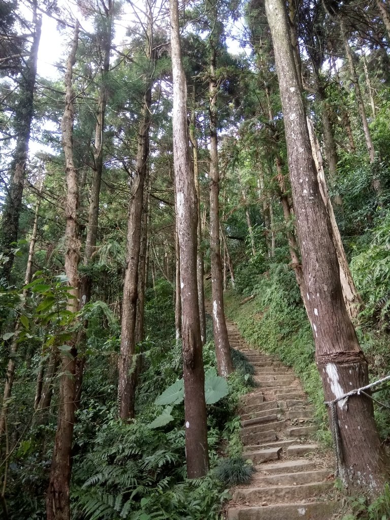 DSC_4765.JPG - 獅潭  仙山