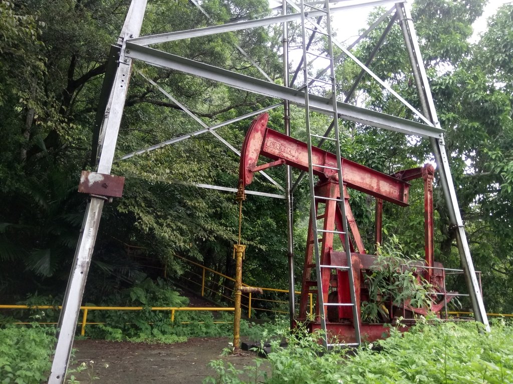 DSC_9646.JPG - 公館  出礦坑登山步道