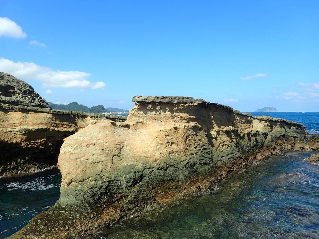 PA114994.JPG - 東北角海岸岩石之美  (03)