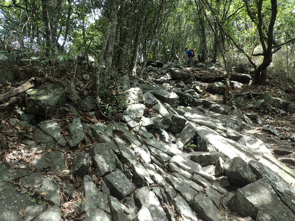 P5012331.JPG - 谷關七雄之  波津加山