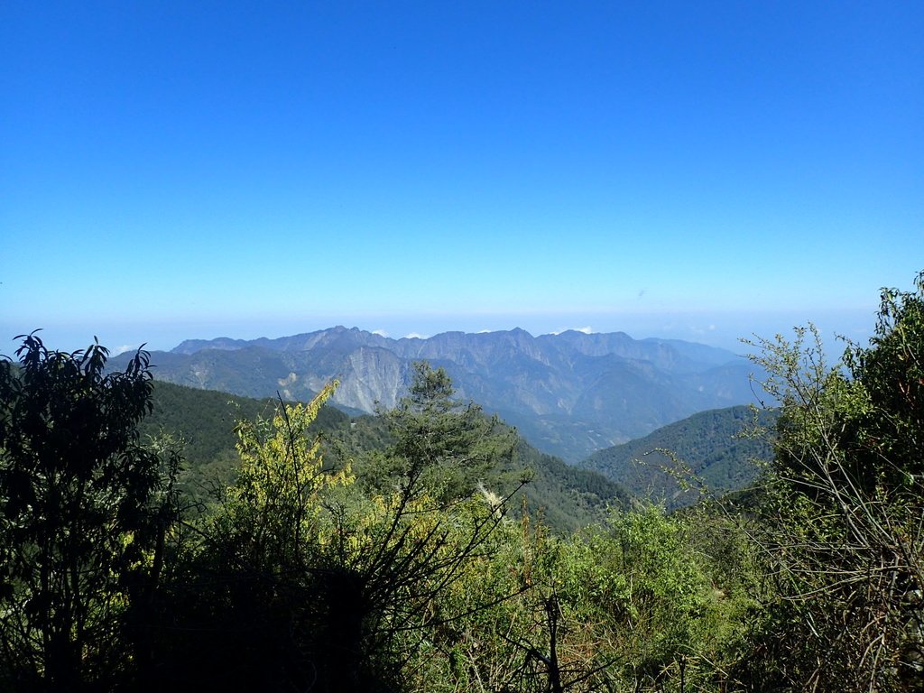 P3268074.JPG - 鹿林山  麟趾山步道  (01)