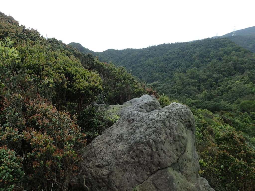 P3160139.JPG - 汐止  金面山(金明山)  稜線步道