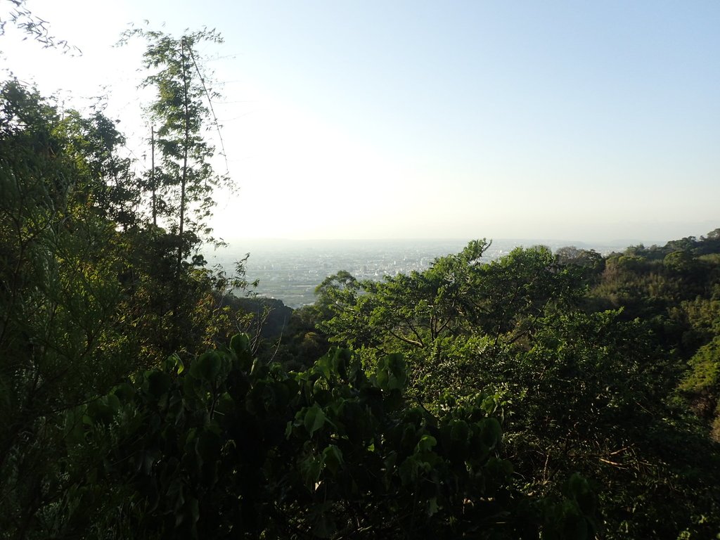 P1123657.JPG - 潭子 聚興山  新田登山步道