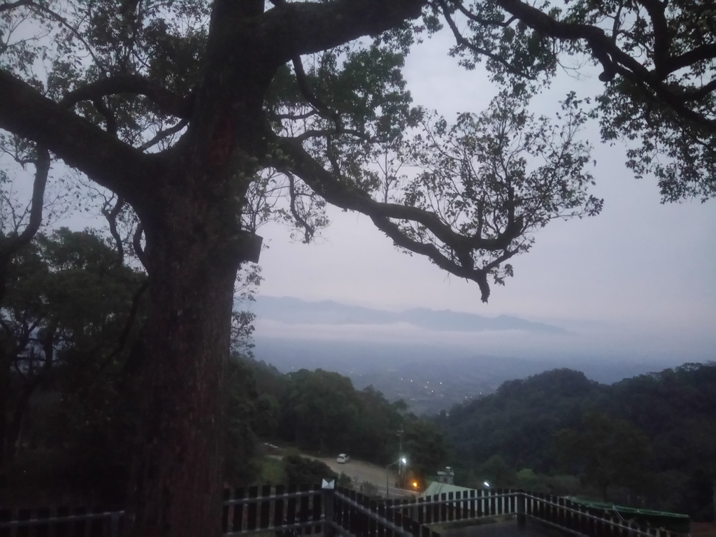 DSC_2889.JPG - 大湖  關刀山步道  (聖關段)