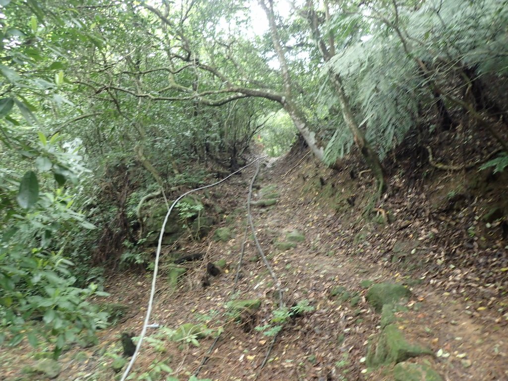 P3308243.JPG - 萬里  大路嶺古道行