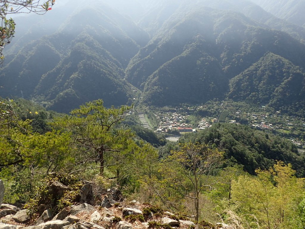 P3167170.JPG - 谷關  東卯山東南稜