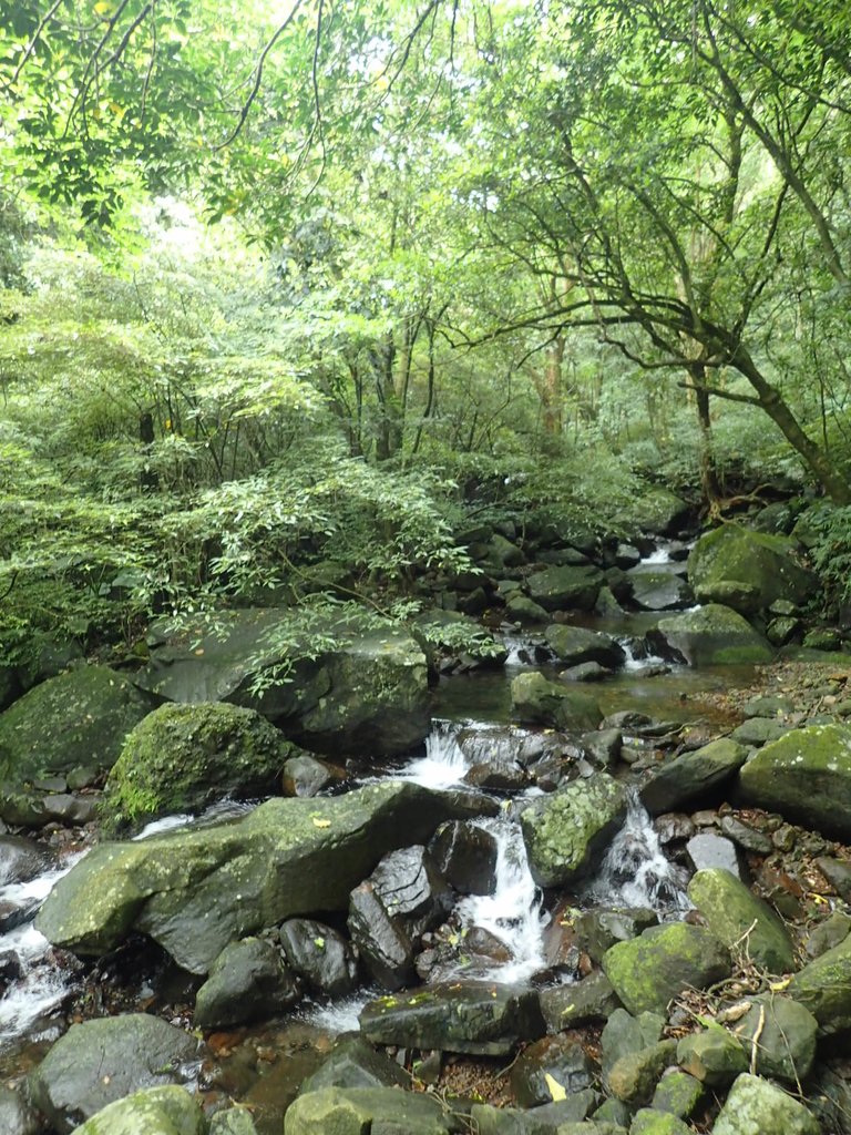 P6114284.JPG - 三芝  大屯溪古道