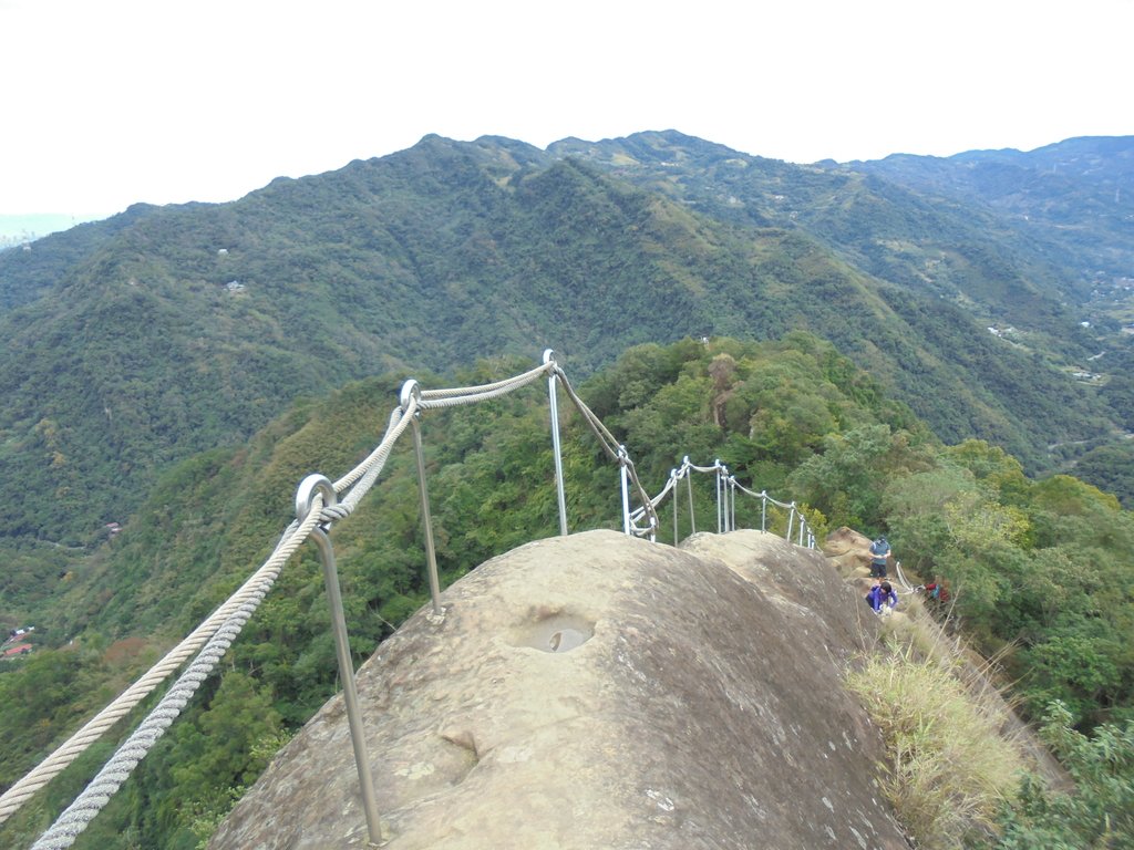 三峽  五寮尖登山步道