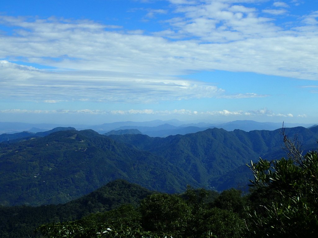 PB257501.JPG - 復興  東眼山森林步道