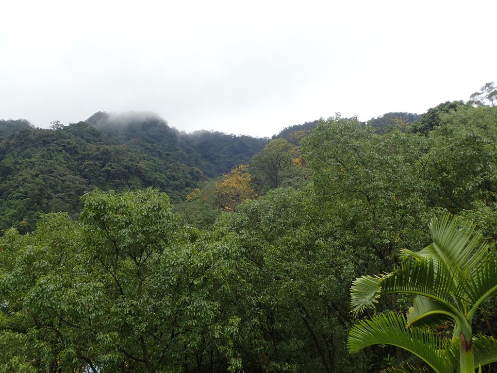 P1062091.JPG - 再訪  土城  承天禪寺