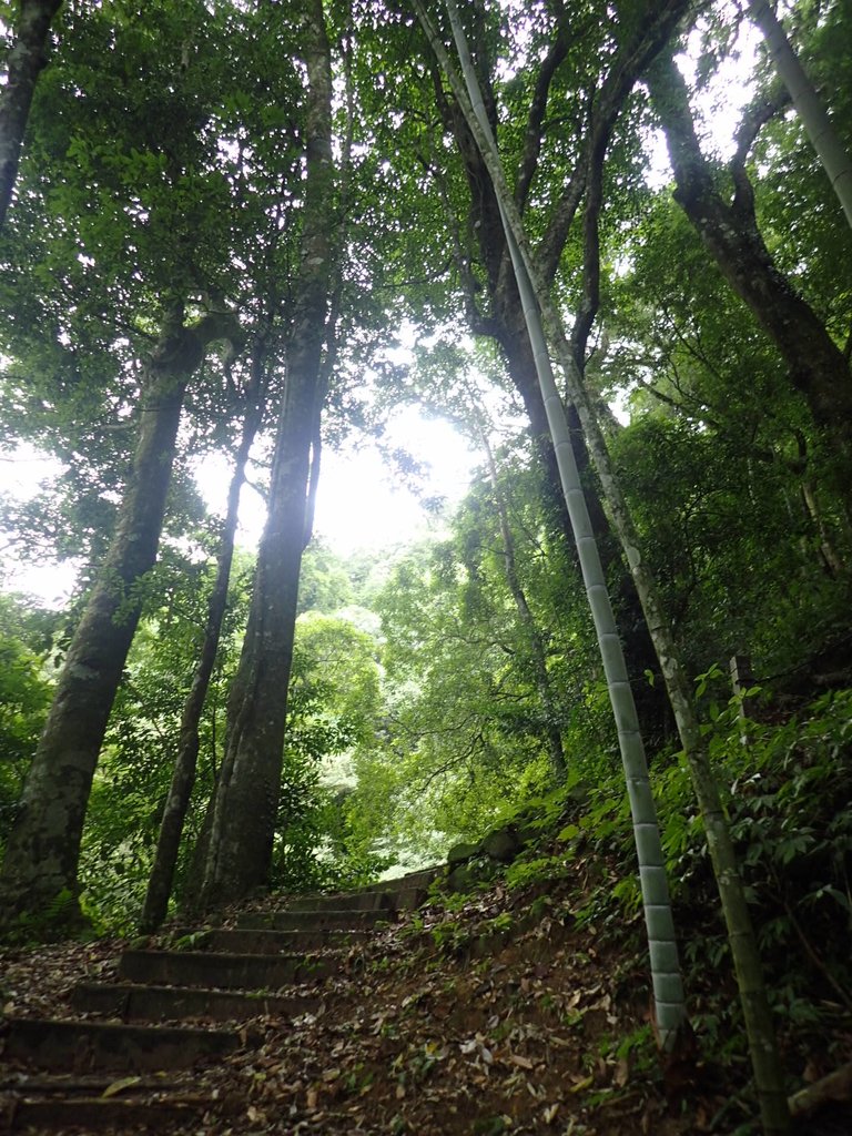 PA231698.JPG - 石壁山  嘉南雲峰步道