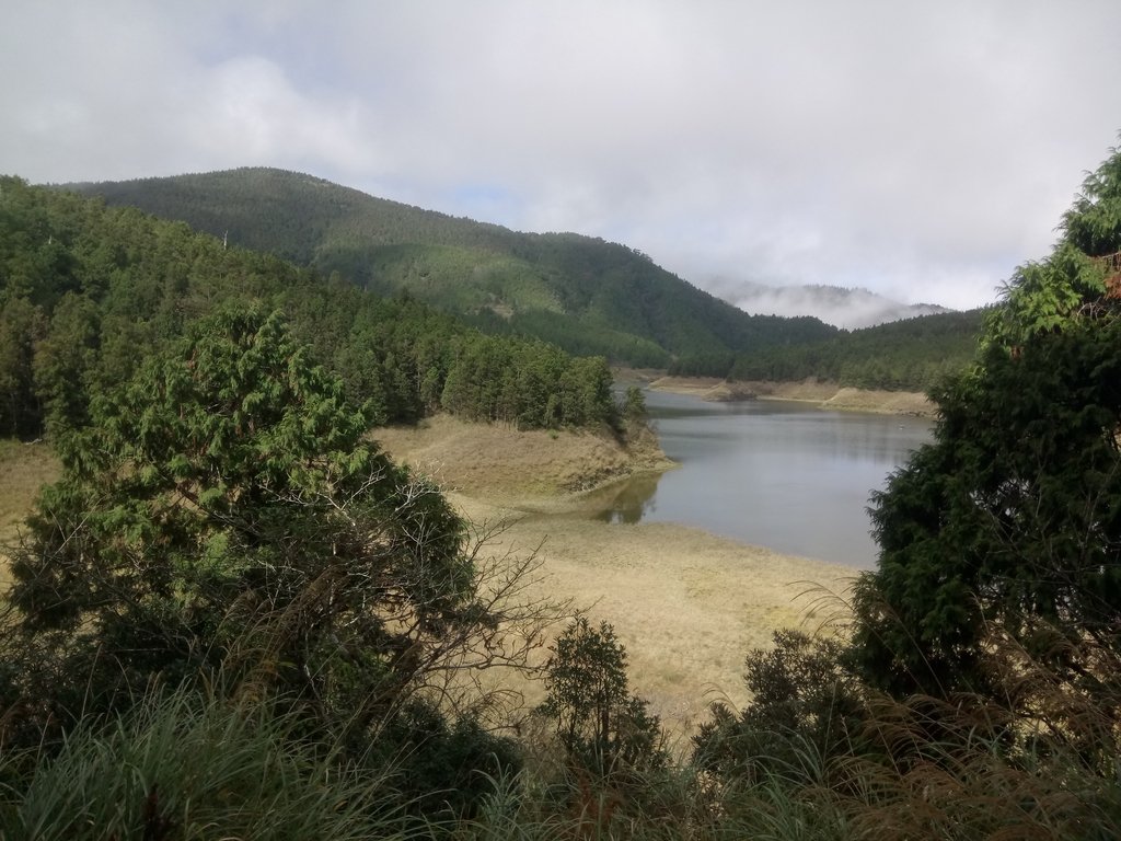 DSC_0042.JPG - 太平山  翠峰湖環山步道  01