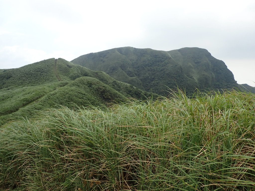 P5258755.JPG - 貢寮  桃源谷  灣坑頭山