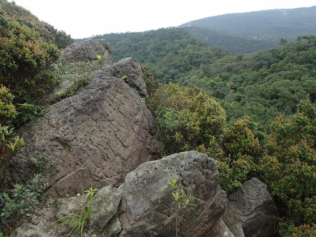 P3160142.JPG - 汐止  金面山(金明山)  稜線步道