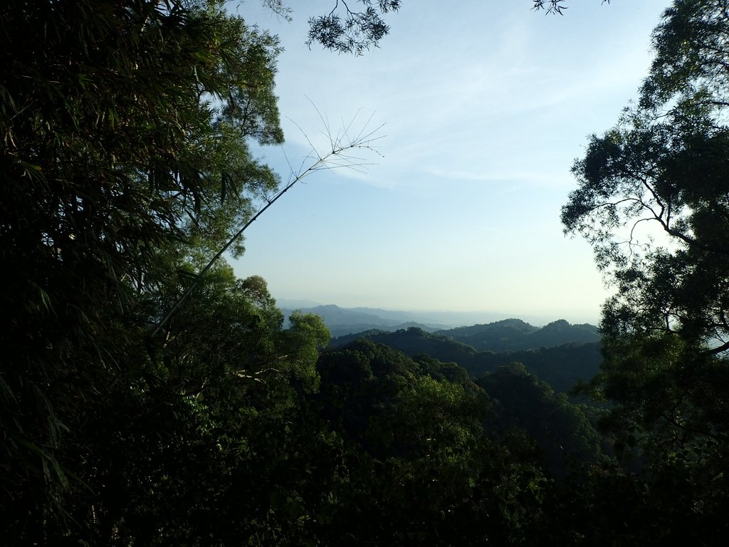 P1123658.JPG - 潭子 聚興山  新田登山步道