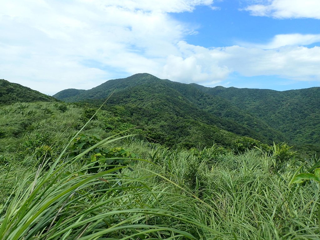 P7072291.JPG - 貢寮  蚊子坑古道  龍洞稜