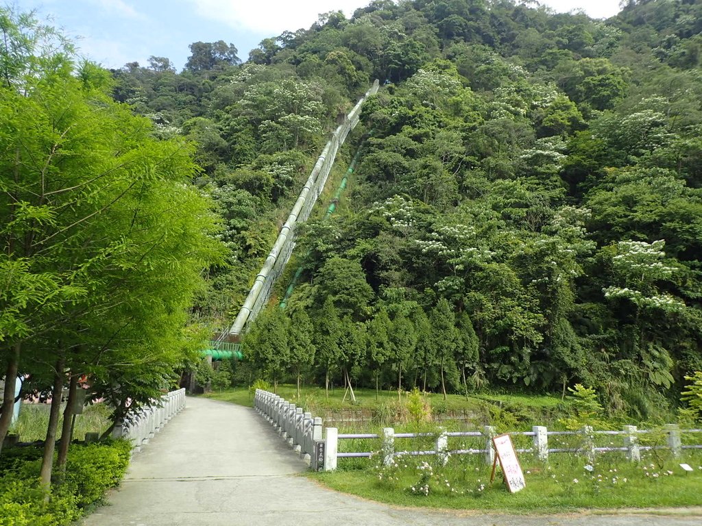 P5012375.JPG - 新社  白冷圳紀念公園