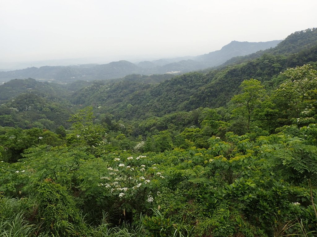 P4191869.JPG - 南庄  細湖頂  晴園山莊