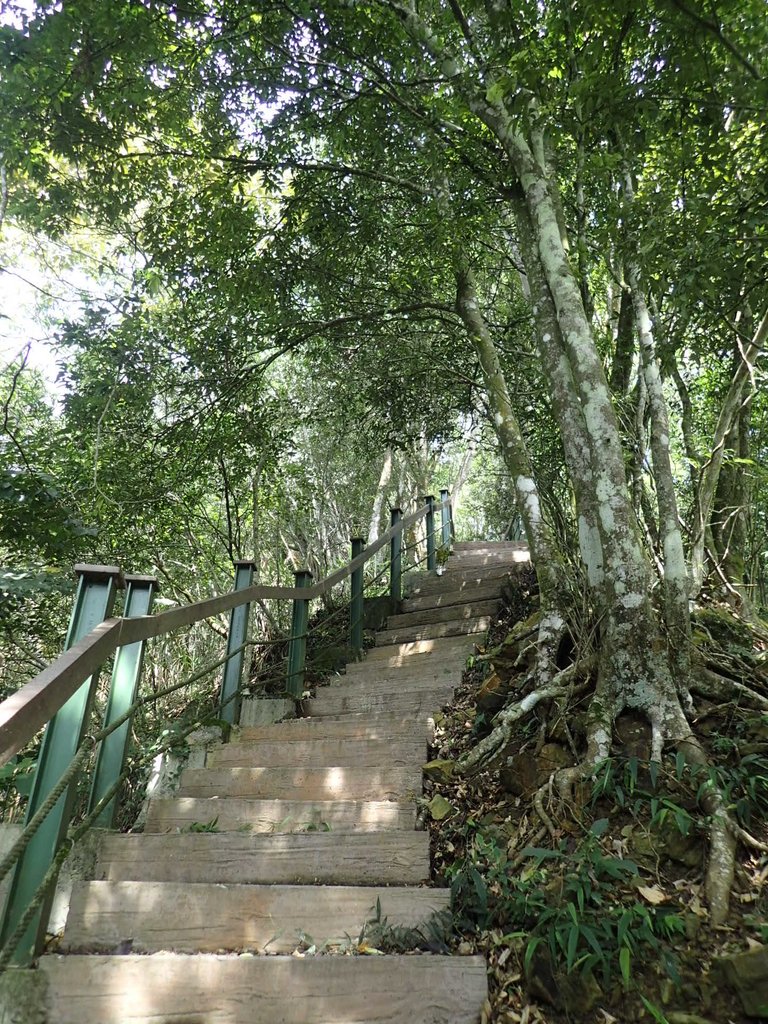 P9017420.JPG - 魚池  頭社  後尖山步道