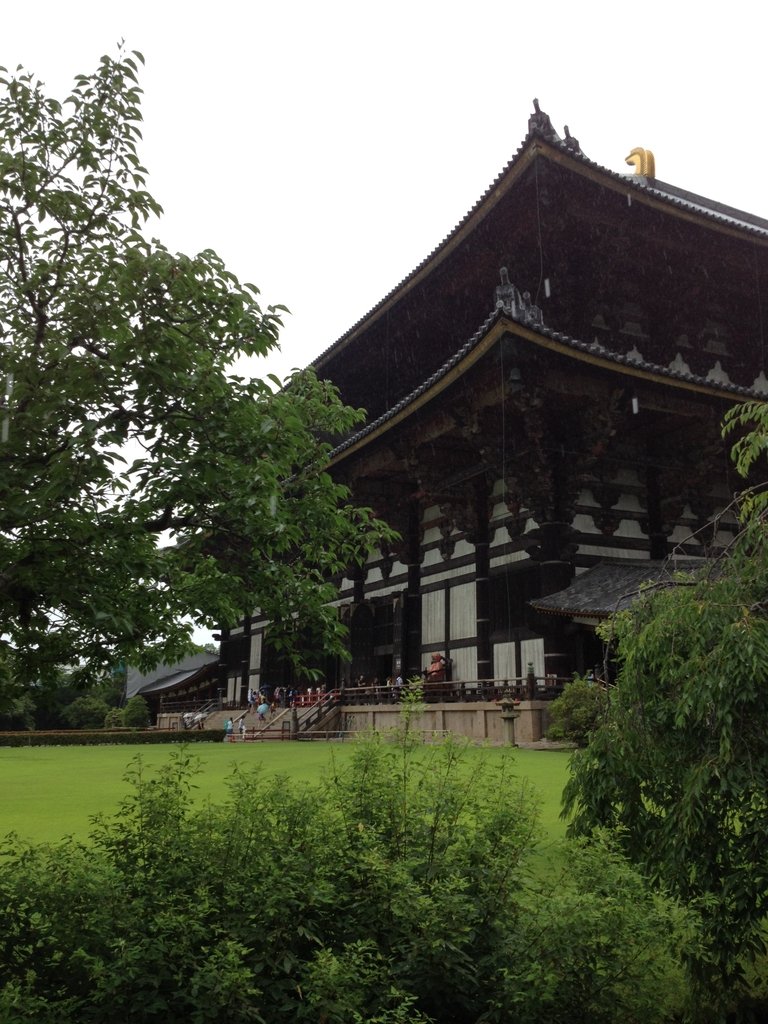 IMG_2589.JPG - 奈良  東大寺