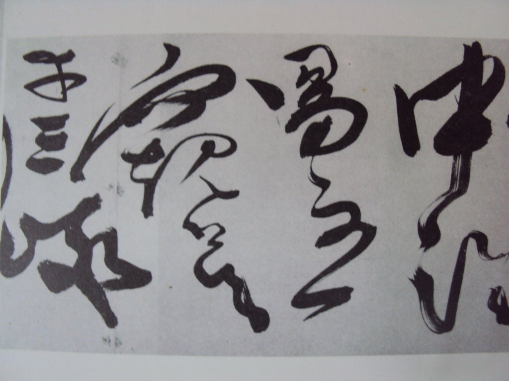 DSC09990.JPG - 陳淳的草書作品