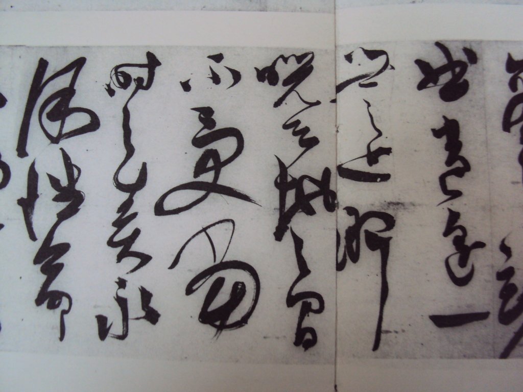 DSC00253.JPG - 陳淳的草書作品