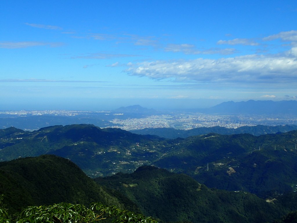 PB257502.JPG - 復興  東眼山森林步道