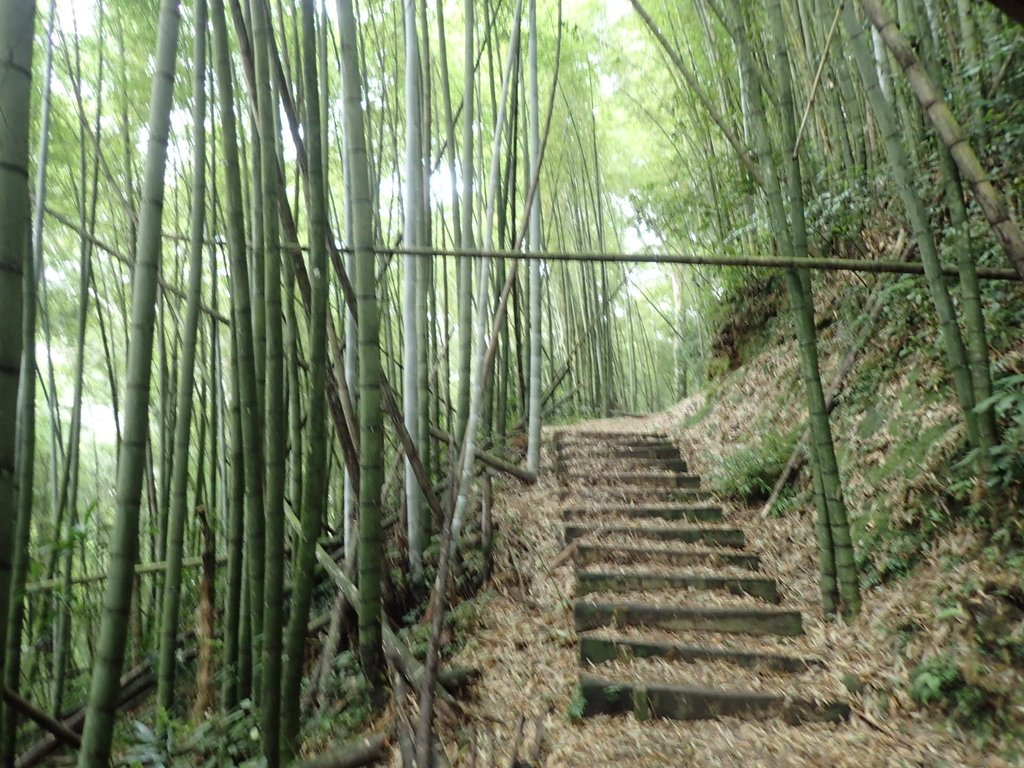 PA231704.JPG - 石壁山  嘉南雲峰步道