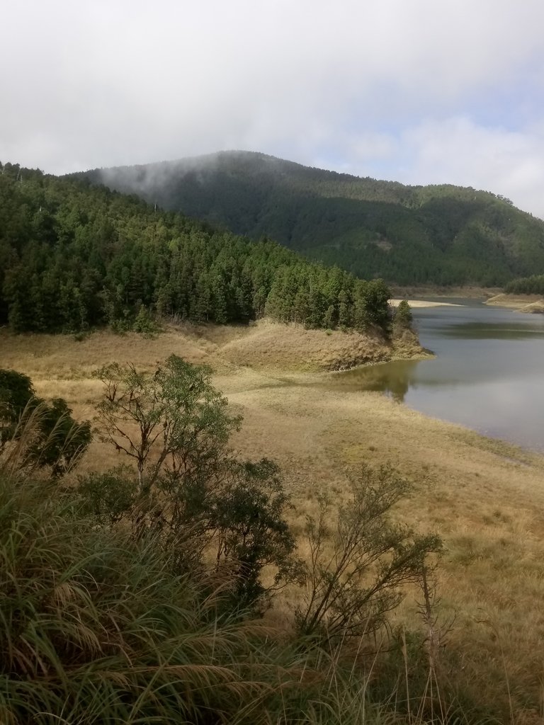 DSC_0046.JPG - 太平山  翠峰湖環山步道  01