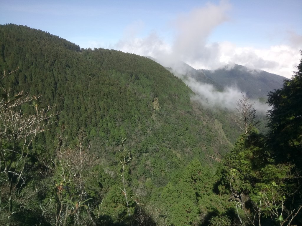 DSC_0098.JPG - 太平山  翠峰湖環山步道  01