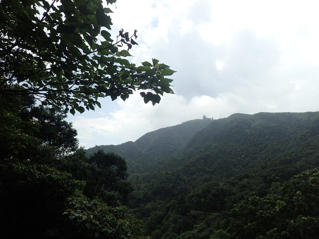 P7203892.JPG - 瑞芳  五分山登山步道