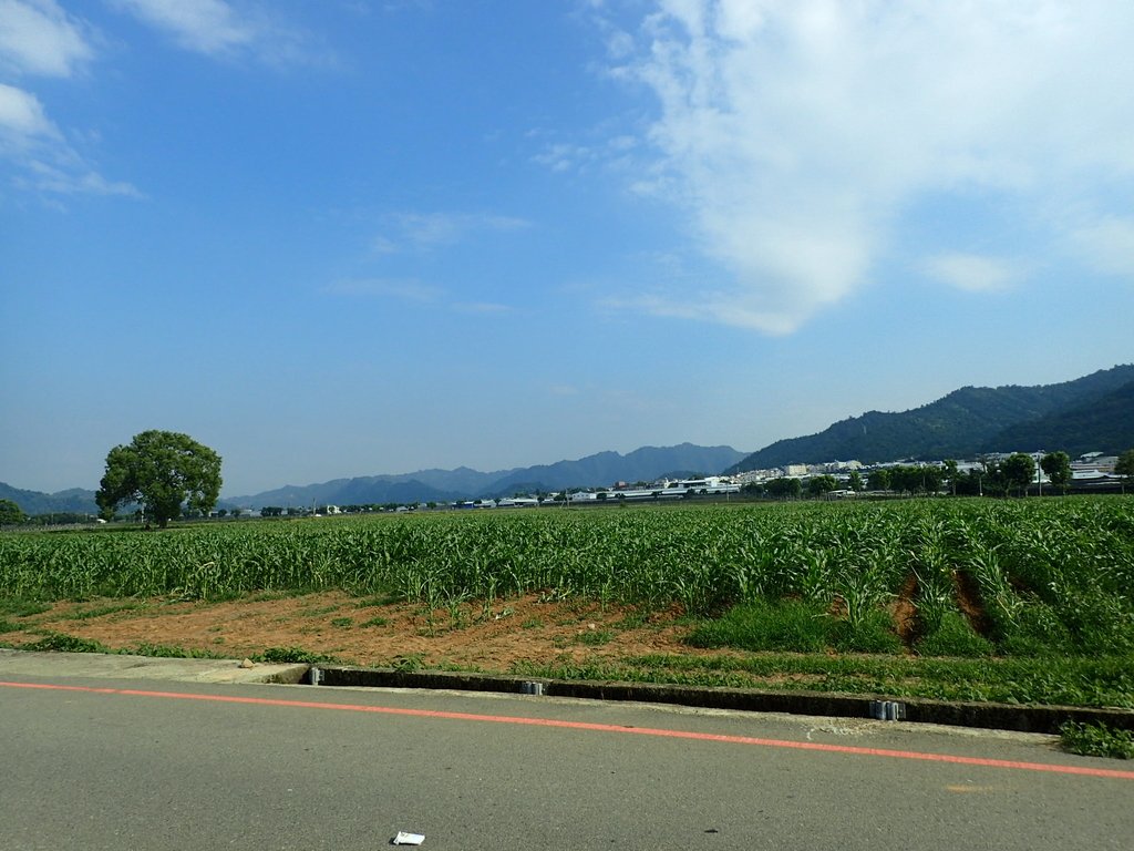 P5012387.JPG - 新社  台地平野風光