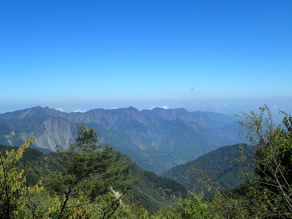 P3268076.JPG - 鹿林山  麟趾山步道  (01)