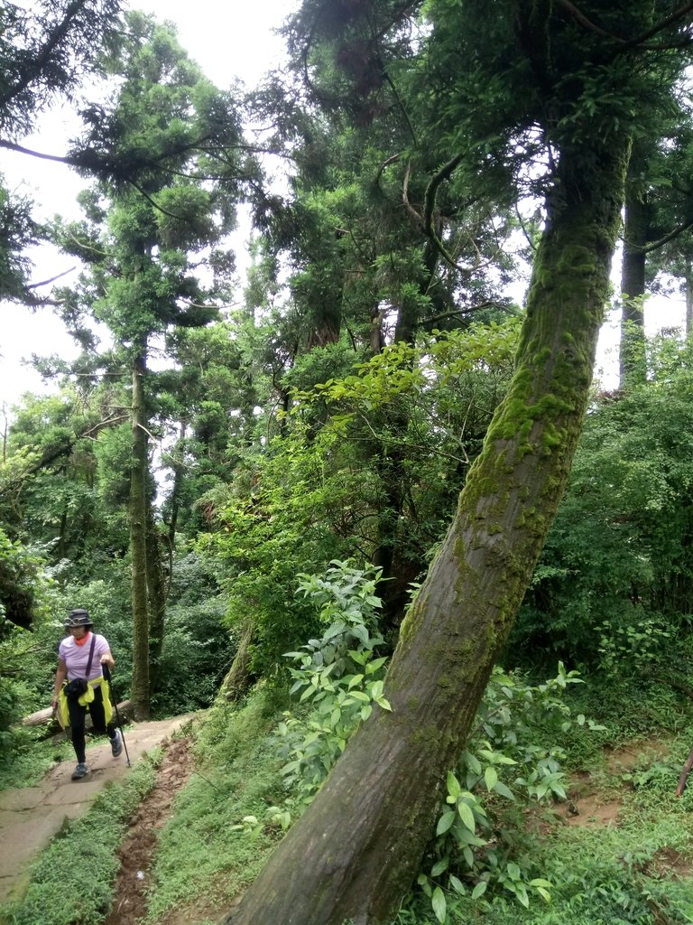 DSC_9363.JPG - 萬里  風櫃嘴  頂山