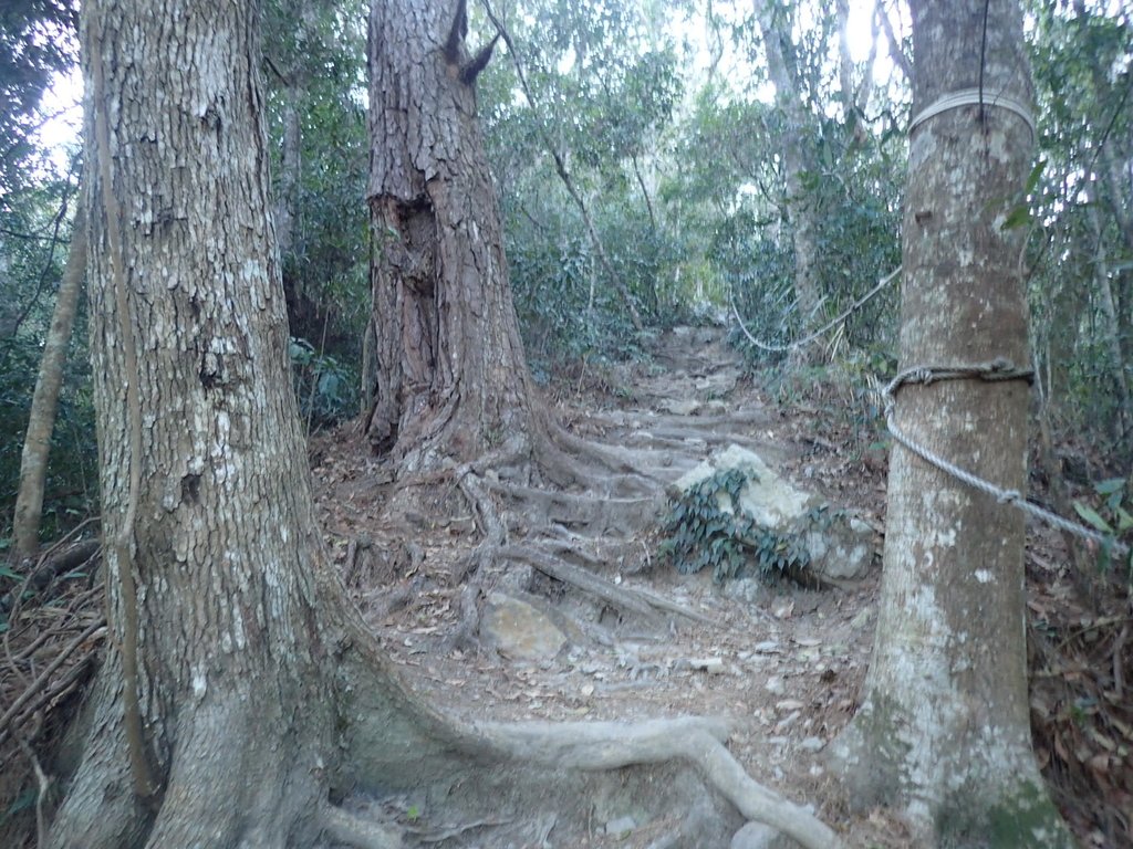 P2275864.JPG - 谷關七雄之  唐麻丹山