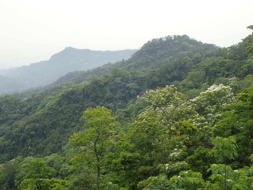 P4191870.JPG - 南庄  細湖頂  晴園山莊