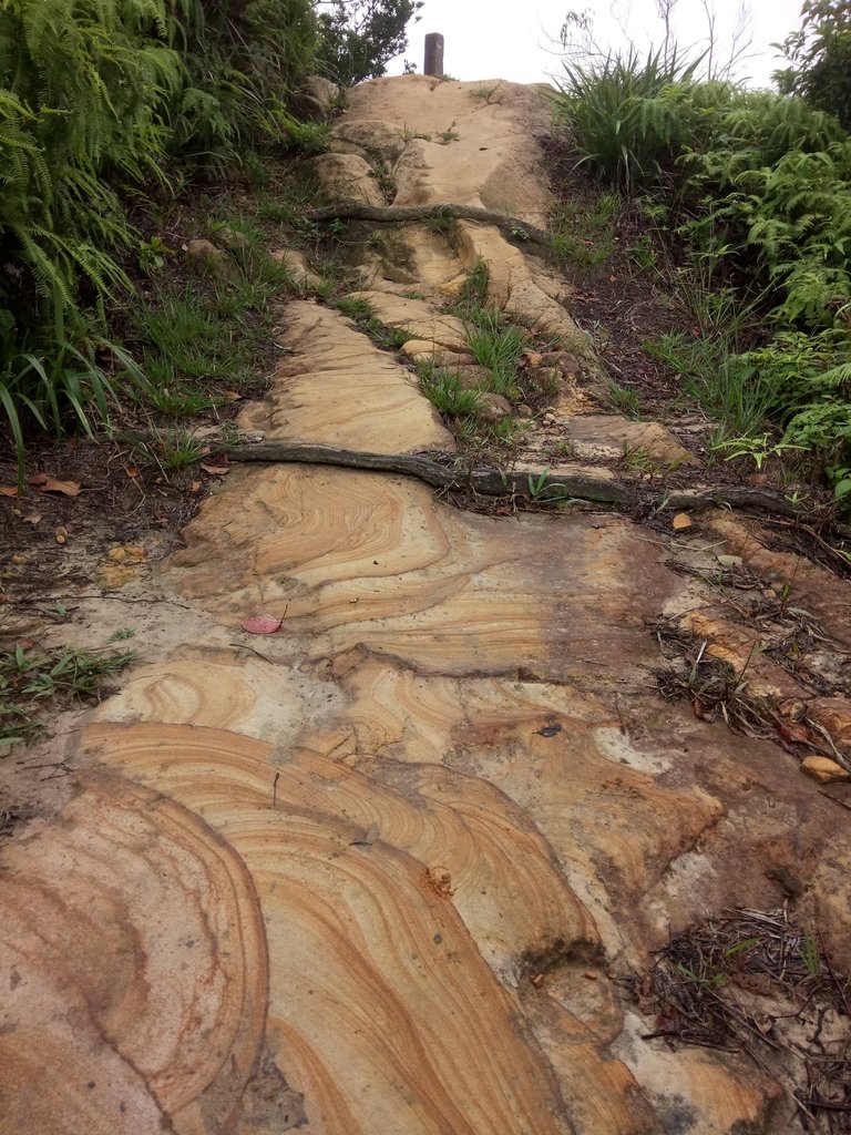 DSC_2797.JPG - 汐止  翠湖  內溝山  老鷲尖