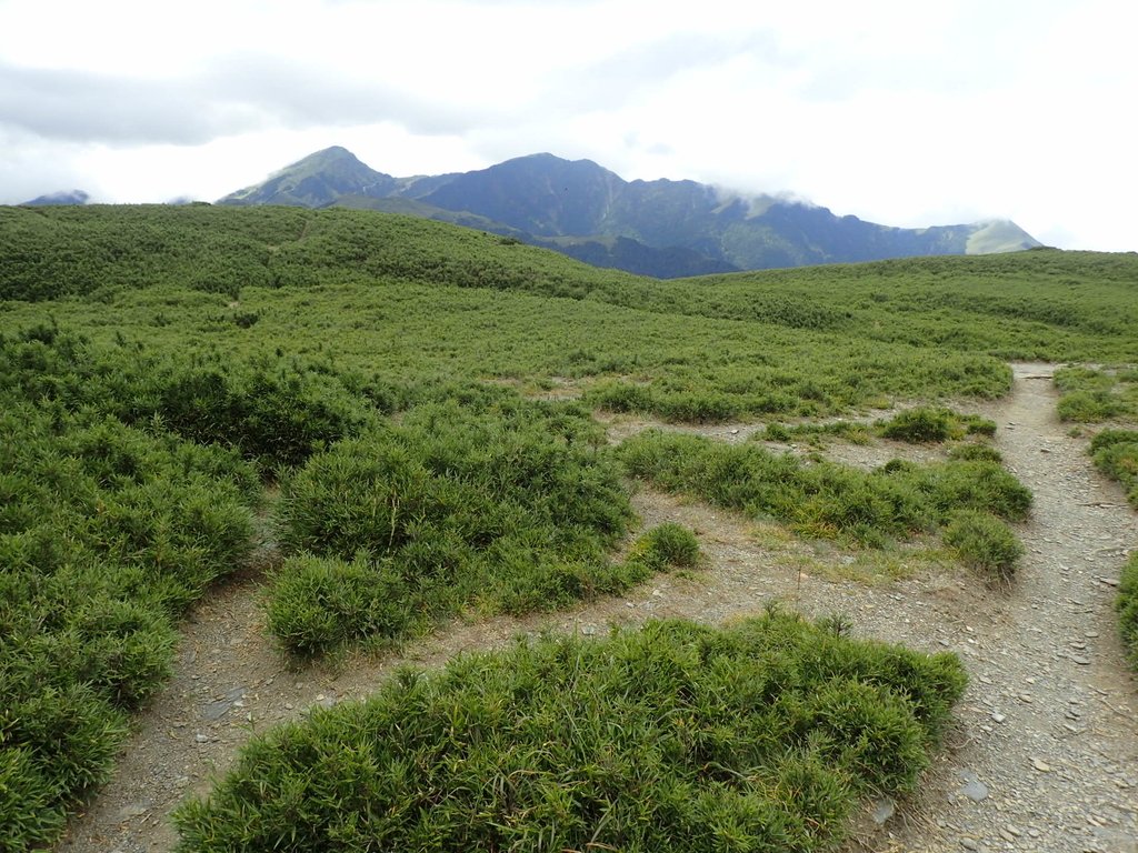 P7245995.JPG - 合歡山  北峰之美  (中)