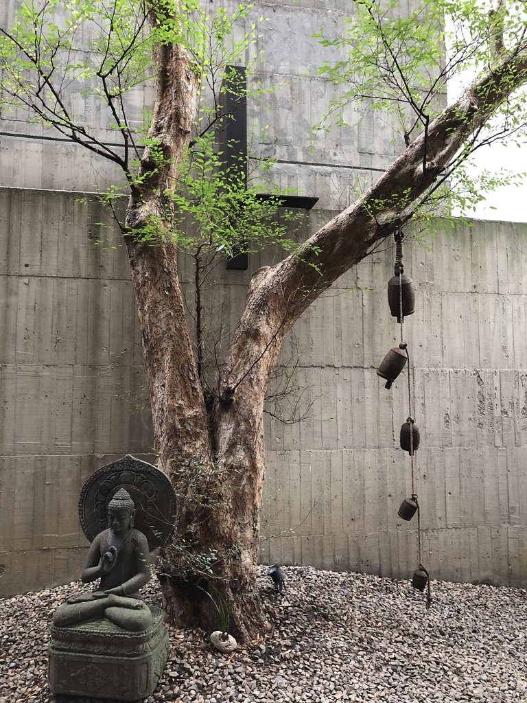 IMG_0150.JPG - 再訪  大里  菩薩寺