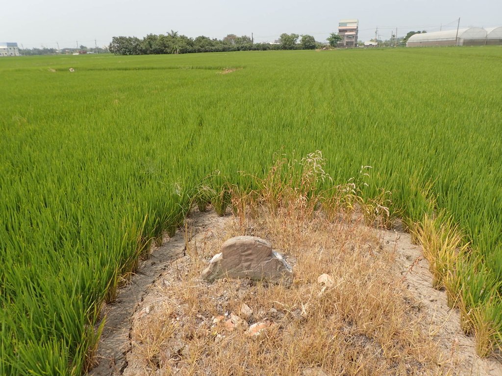 P4151652.JPG - 嘉義海口寮  太學生  蔡嘉謨墓