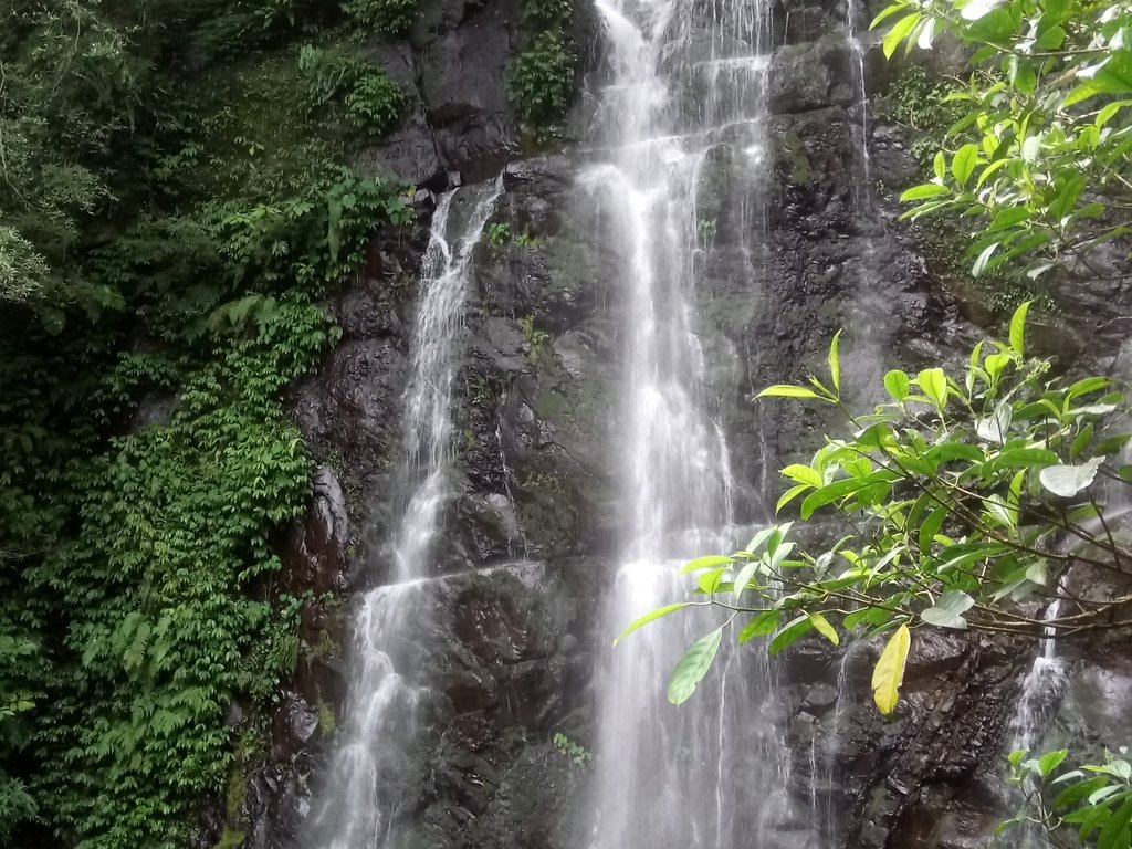 DSC_6138.JPG - 三峽  滿月圓森林遊樂區