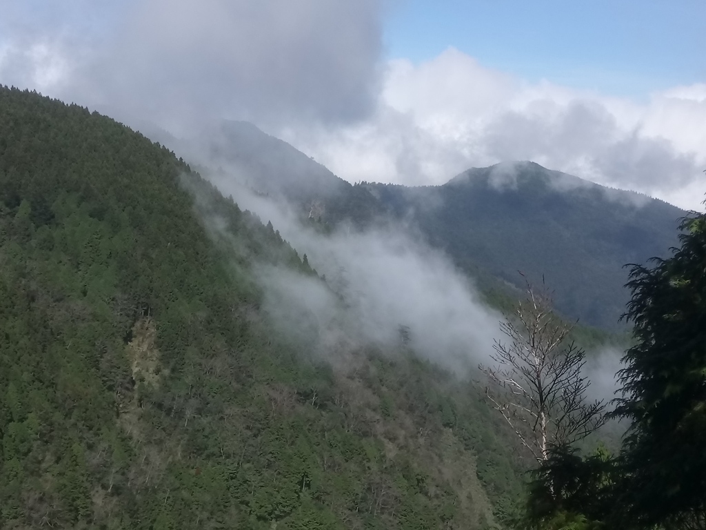 DSC_0099.JPG - 太平山  翠峰湖環山步道  01